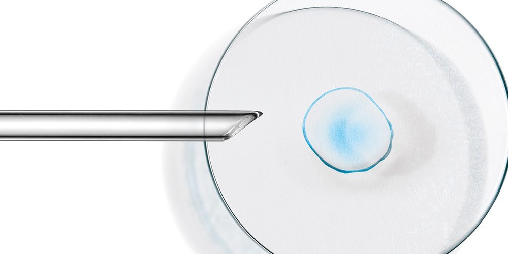 Para valorar la eficacia de nuestros productos en L’Oréal Paris contamos con un departamento especializado en métodos de evaluación del rendimiento.